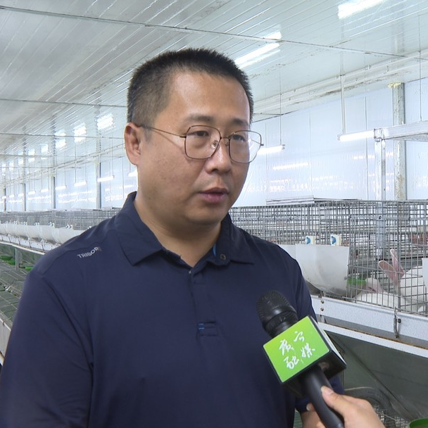 致富养殖兔子文案_致富经兔子养殖项目_兔子养殖的广告标语