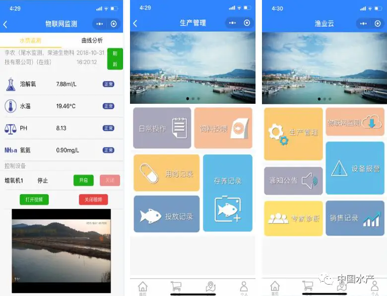 海带标准化养殖技术_海带养殖场图片_海带养殖赚钱吗