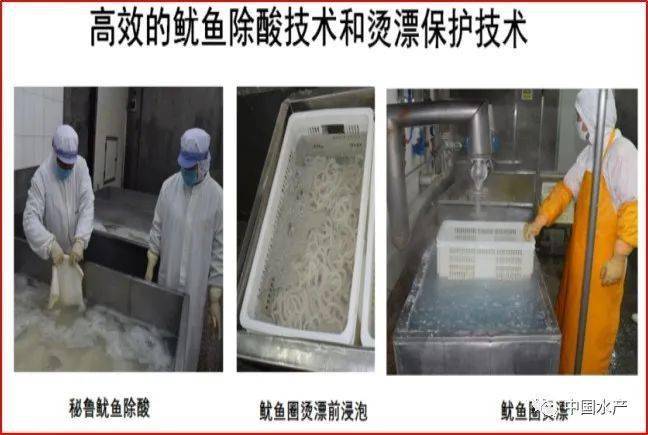 海带标准化养殖技术_海带养殖场图片_海带养殖赚钱吗