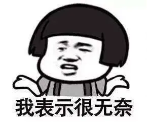豚鼠养殖视频科技苑_视频致富养殖豚鼠是真的吗_豚鼠养殖致富视频