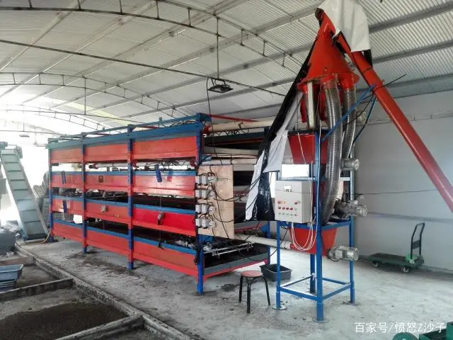 豚鼠养殖视频科技苑_豚鼠养殖致富视频_视频致富养殖豚鼠是真的吗