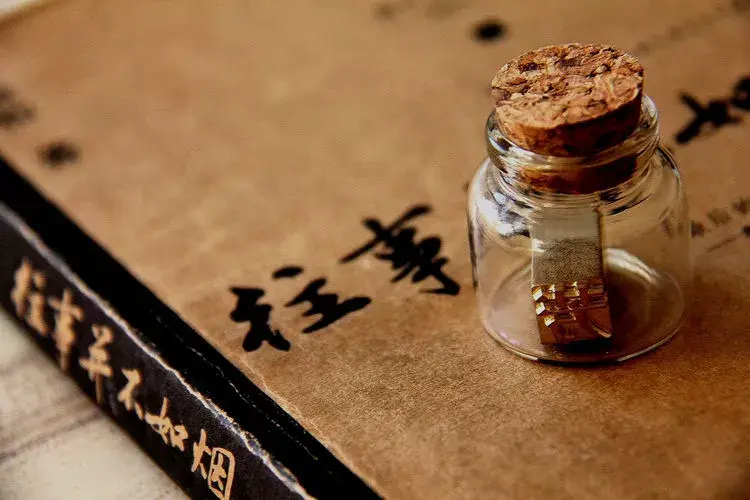 蛇豆种子_蛇豆种植技术视频播放_怎样种蛇豆好出苗