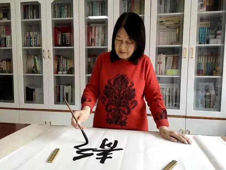 怎样种蛇豆好出苗_蛇豆种植技术视频播放_蛇豆种子