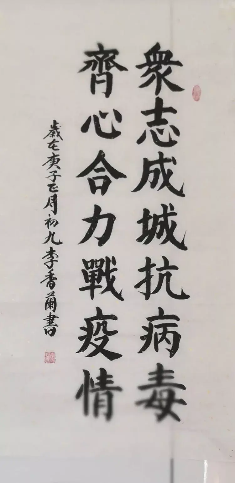 蛇豆种植技术视频播放_怎样种蛇豆好出苗_蛇豆种子