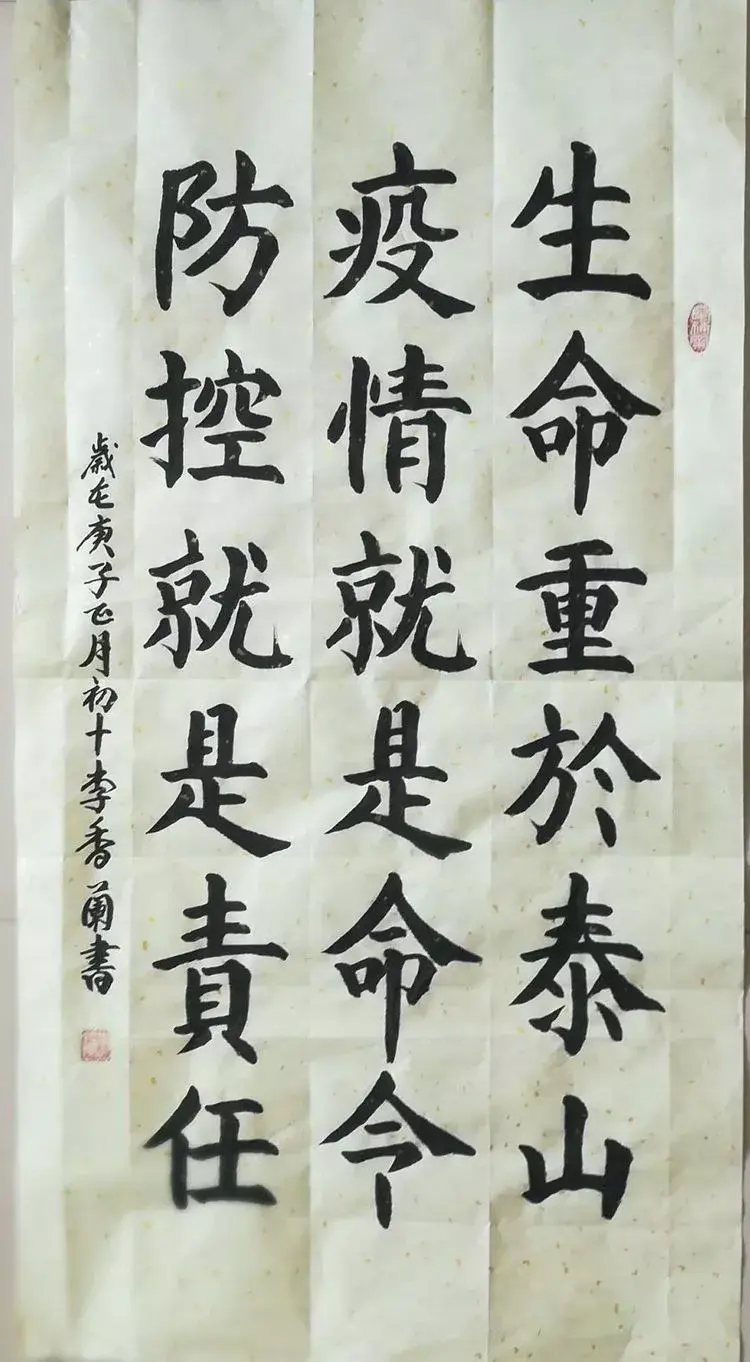 怎样种蛇豆好出苗_蛇豆种子_蛇豆种植技术视频播放