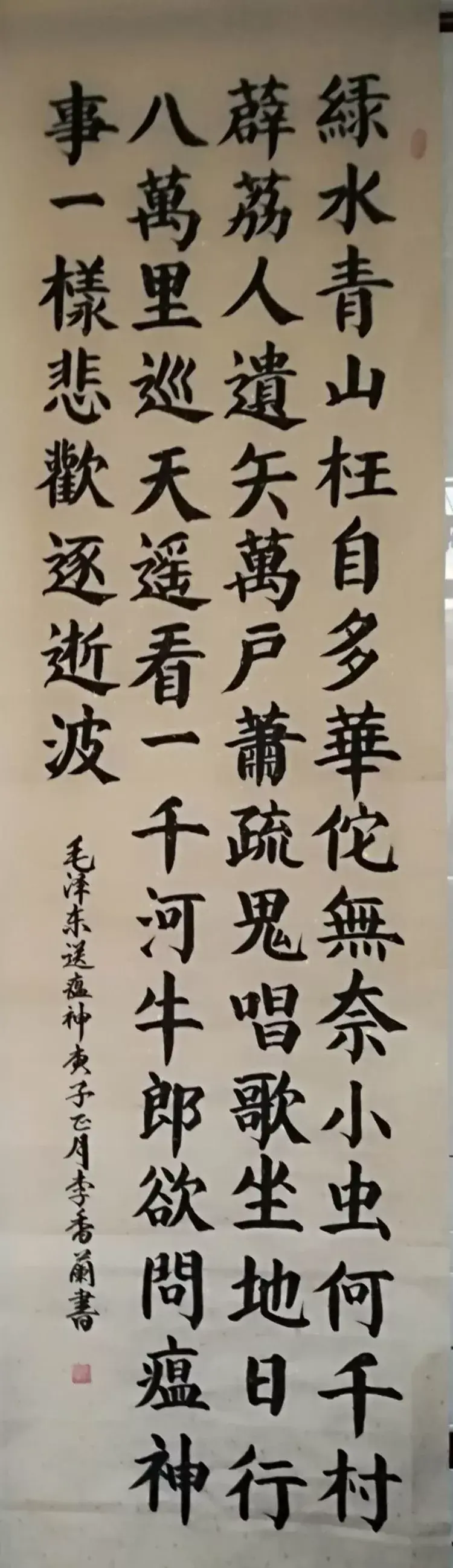 怎样种蛇豆好出苗_蛇豆种子_蛇豆种植技术视频播放