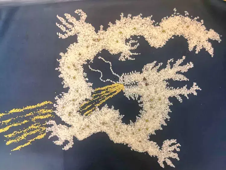 怎样种蛇豆好出苗_蛇豆种子_蛇豆种植技术视频播放