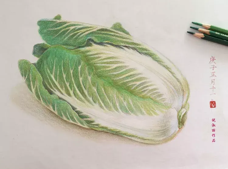 怎样种蛇豆好出苗_蛇豆种子_蛇豆种植技术视频播放