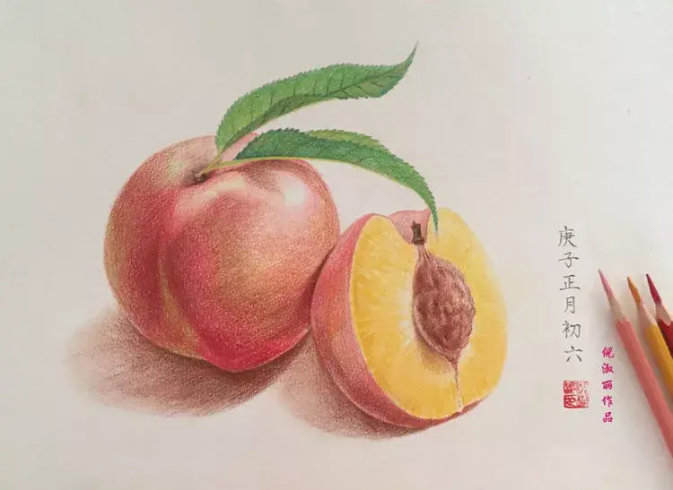怎样种蛇豆好出苗_蛇豆种子_蛇豆种植技术视频播放