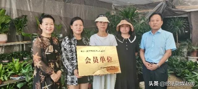 花花姐妹！伊川摆地摊卖花的“姐妹花”