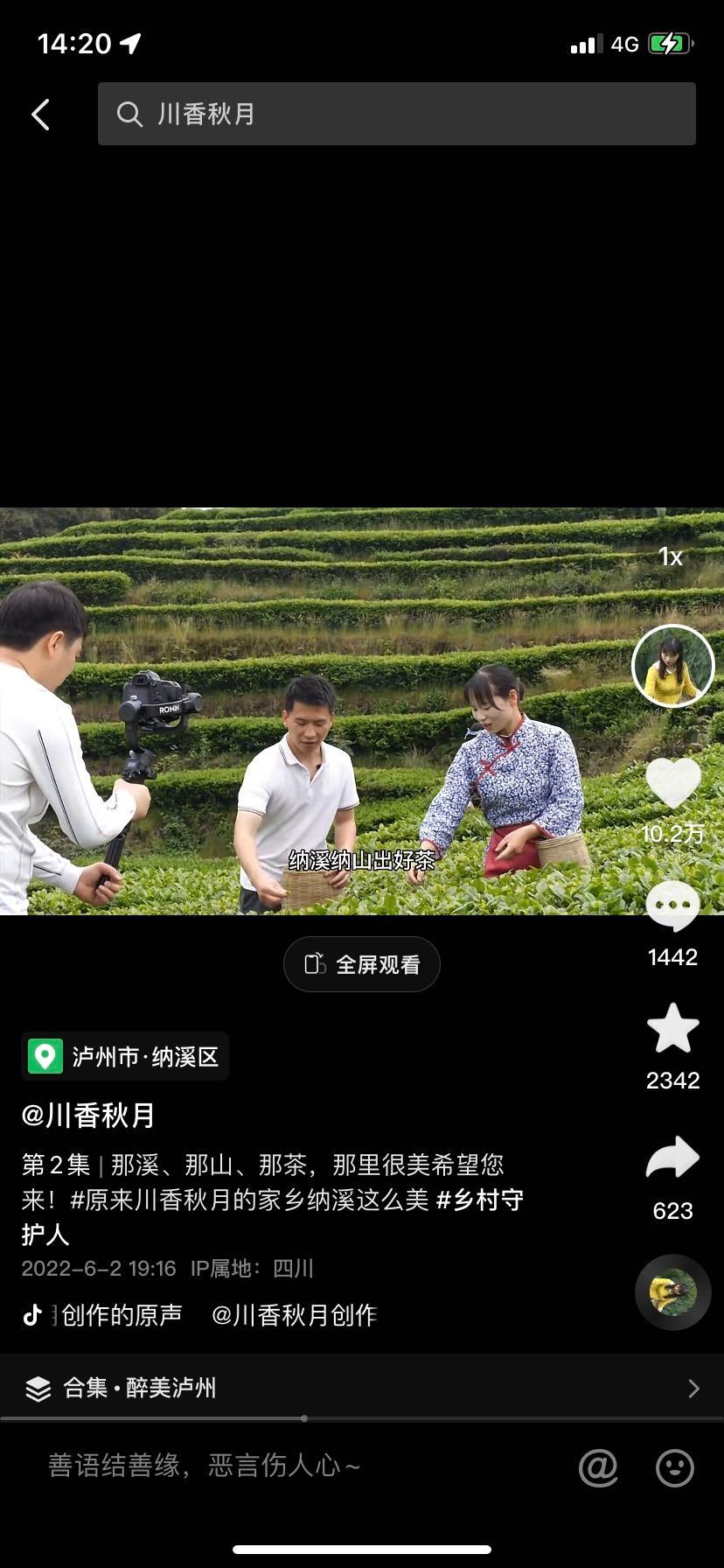 蛇豆种植技术视频播放_怎样种植蛇豆_怎样种蛇豆好出苗