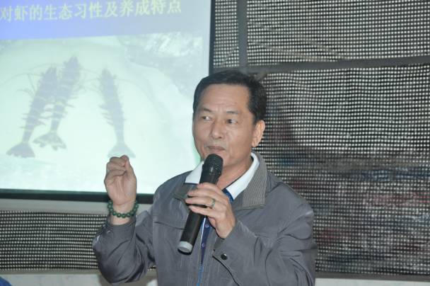 养殖罗氏对虾技术视频_养殖罗氏对虾技术要求_罗氏对虾养殖技术