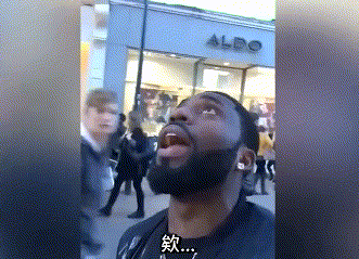 致富经养殖鸽子_养鸽致富经_致富经鸽子养殖