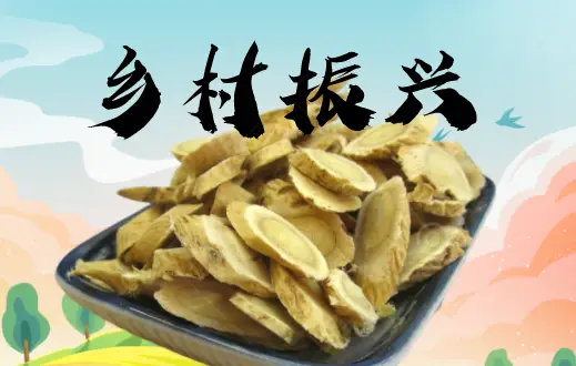 耀州关庄：药香飘“云”端--陕西省乡村振兴局