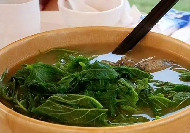 致富树叶能赚钱吗_树叶利用致富_致富经树叶也能赚钱