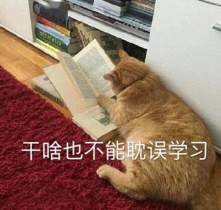 视频的经验_经验分享视频创作_15天优质经验分享视频