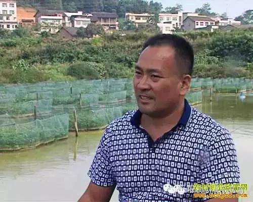 致富经养殖种植视频_种养致富项目_养殖视频致富经