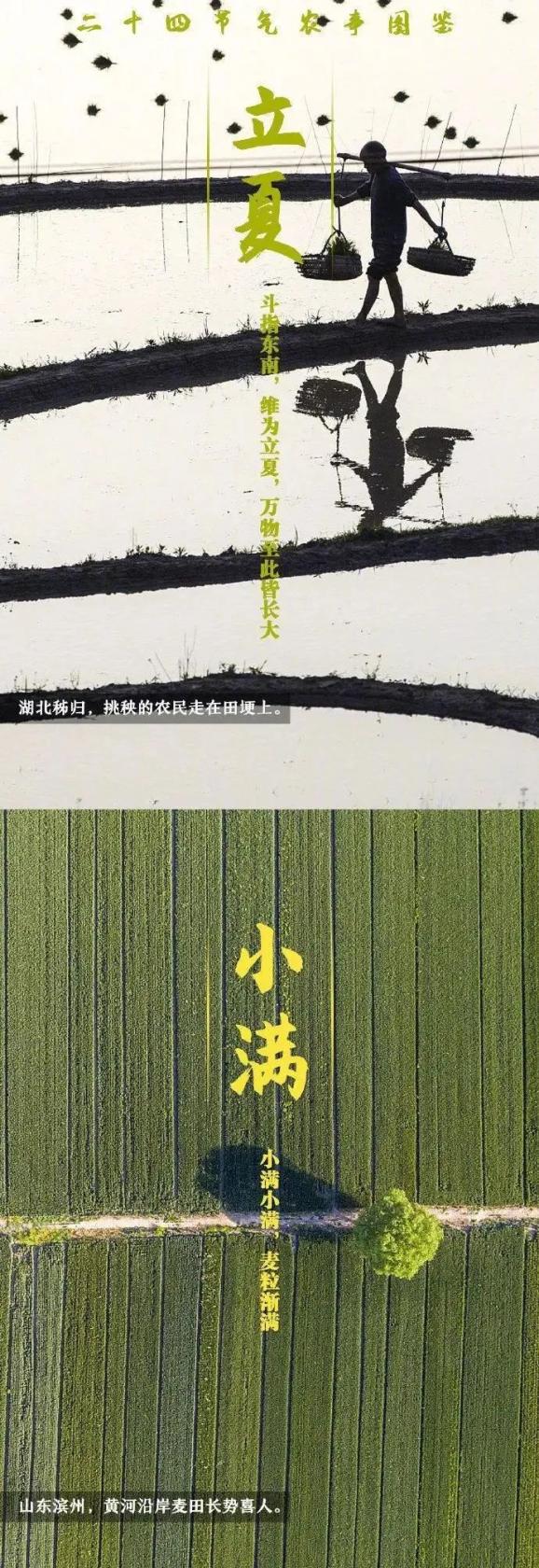 西瓜大棚栽培技术_春大棚西瓜种植技术_西瓜大棚栽培技术要点