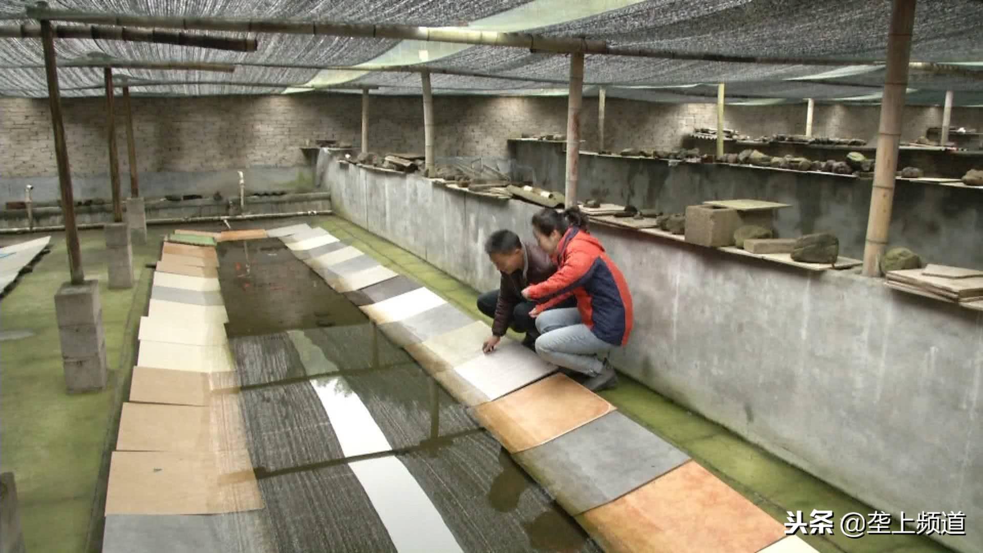 石蛤养殖技术_石蛤养殖技术_石蛤养殖技术