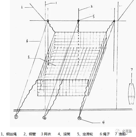 白莲鱼养殖技术视频_视频养殖白莲鱼技术教程_白连鱼养殖