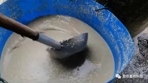 致富养殖肉狗赚钱吗_致富经肉狗的养殖_致富经肉狗养殖技术视频