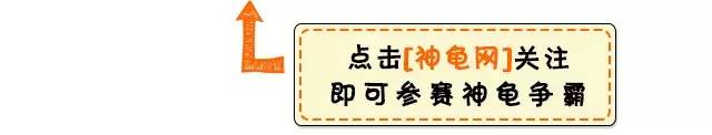 黄喉龟价位_黄喉龟药用价值_黄喉龟致富经