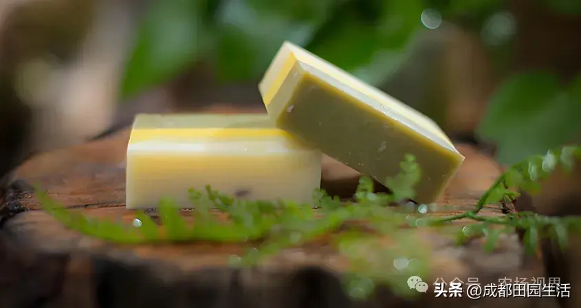 湖北孝感种植致富_孝感适合种植经济作物_湖北孝感养殖是真的吗
