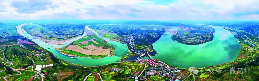 东北养鹅前景如何_东北肉鹅养殖技术_东北养鹅基地