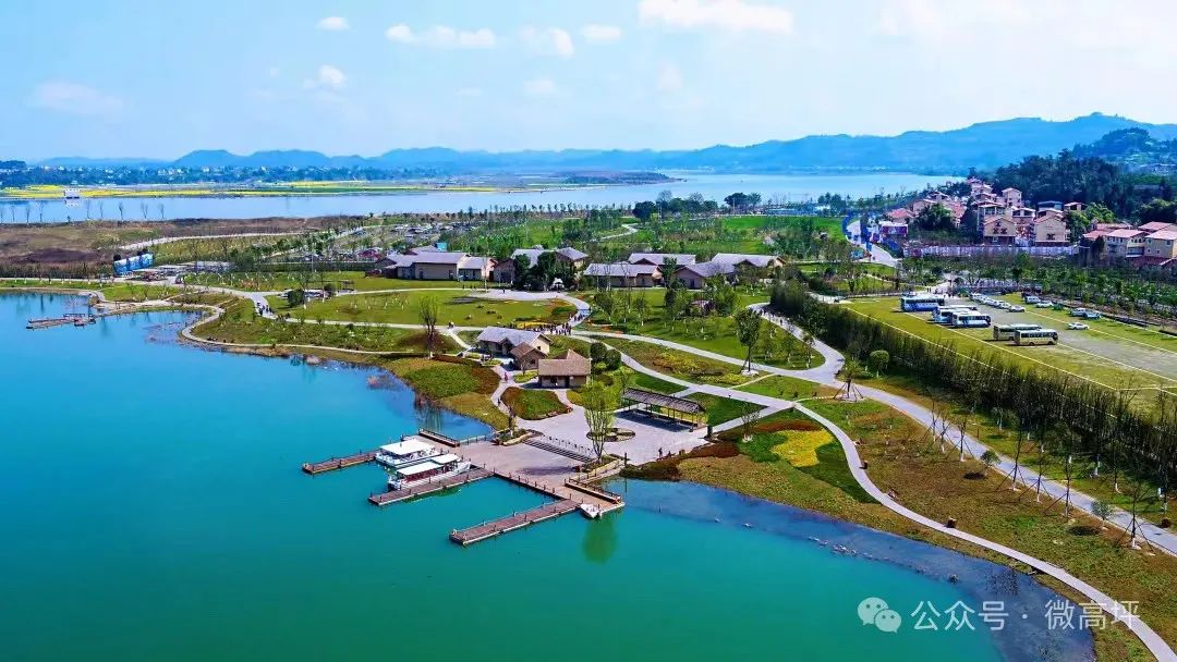 东北养鹅前景如何_东北肉鹅养殖技术_东北养鹅基地