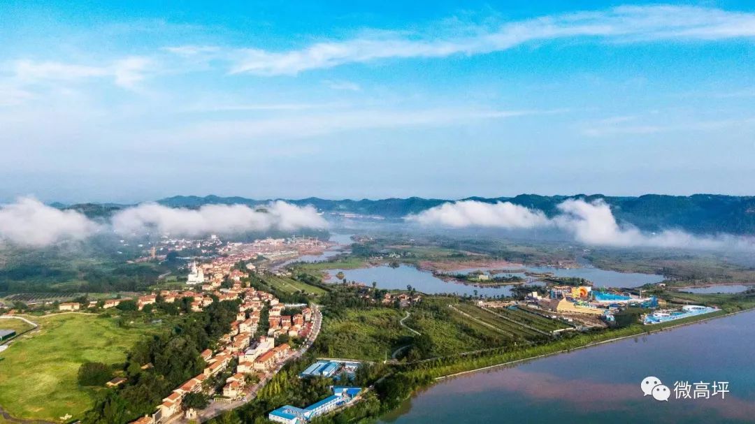 东北肉鹅养殖技术_东北养鹅前景如何_东北养鹅基地