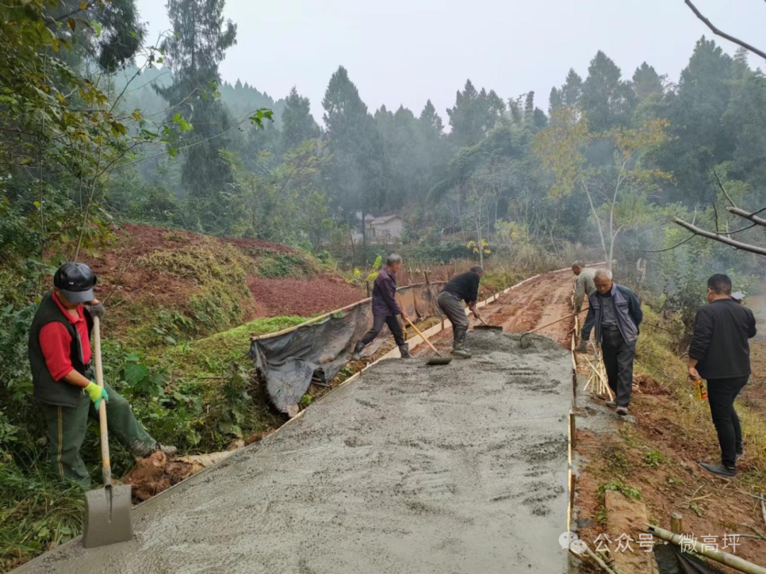 东北养鹅前景如何_东北养鹅基地_东北肉鹅养殖技术