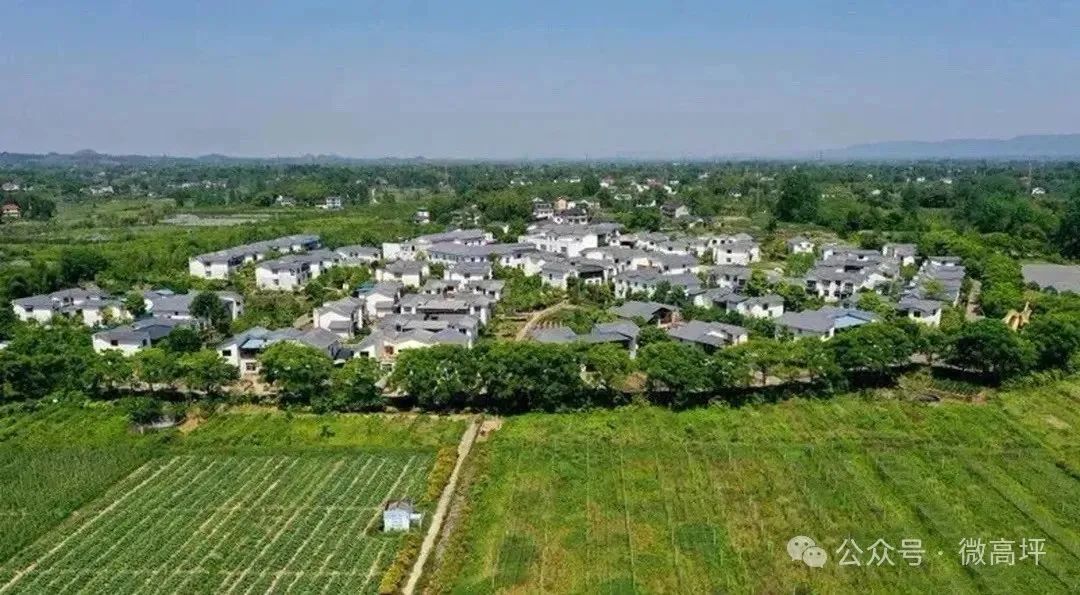 东北养鹅前景如何_东北养鹅基地_东北肉鹅养殖技术