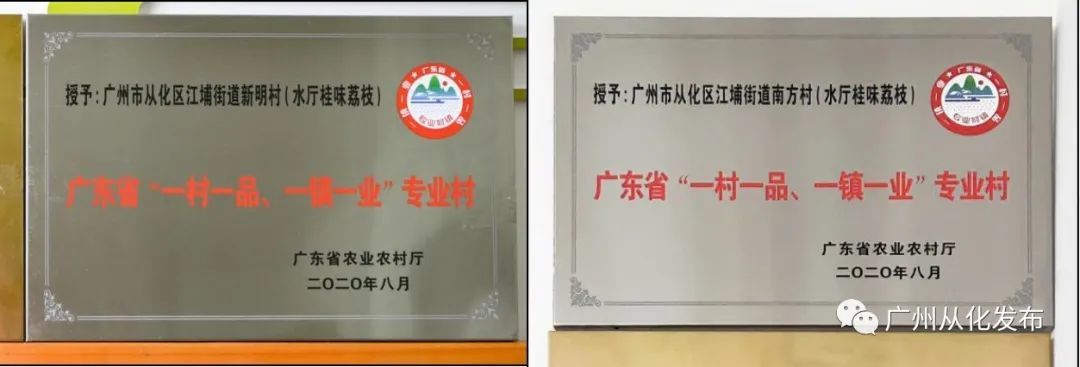 广州从化适合种植植物_从化有南种植果场_从化种植致富
