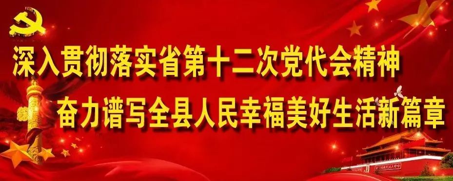 东北养鹅前景如何_东北肉鹅养殖技术_东北养鹅基地