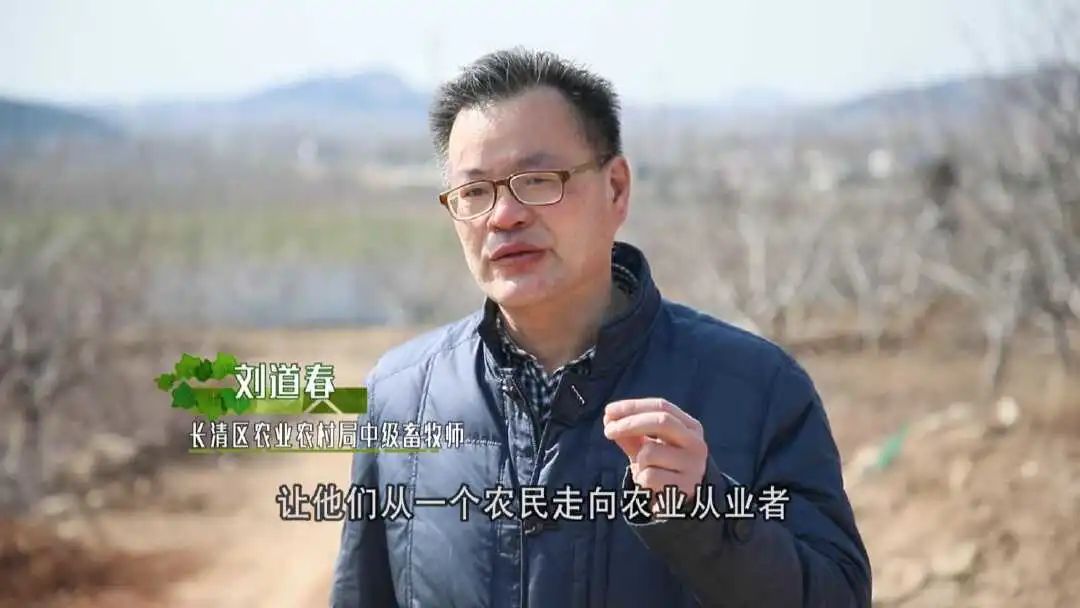 致富经创业项目农村种植_致富种植什么比较赚大钱_适合年轻人种植的致富项目