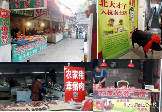 高效益养殖技术网_养殖效率_养殖场效益