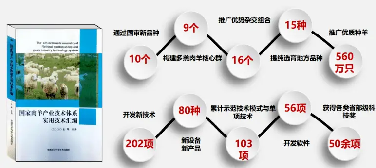 致富经散养羊视频全集_视频致富全集散养羊是真的吗_致富经养殖羊视频