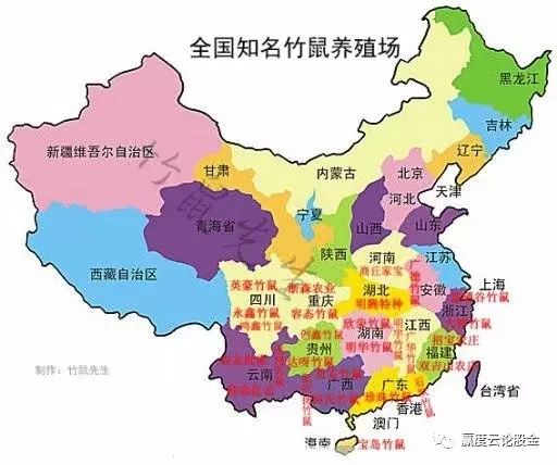 竹鼠养殖前景_竹鼠养殖技术吧_竹鼠养殖怎么样