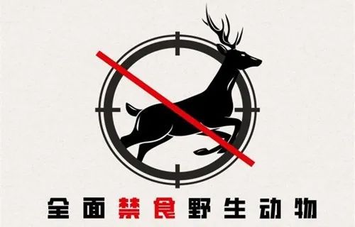 野生鲫鱼养殖技术_野生养殖鲫鱼技术要求_野生鲫鱼养殖视频