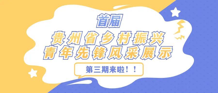 【榜样的力量】首届贵州省乡村振兴青年先锋风采展示（三）