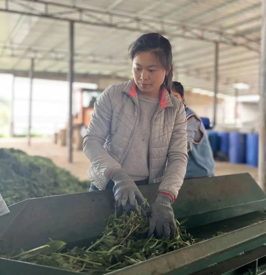 贵州温室大棚工程_贵州蔬菜种植温室大棚致富_贵州温室大棚招标