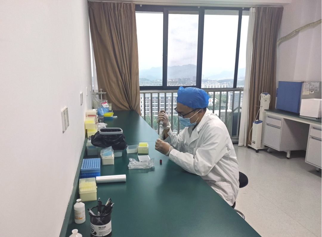 贵州蔬菜种植温室大棚致富_贵州温室大棚工程_贵州温室大棚招标