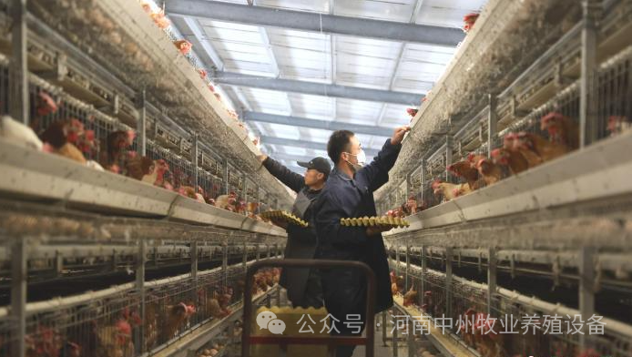 山东养殖业什么最赚钱农村_山东养殖什么致富_山东地区养殖什么挣钱
