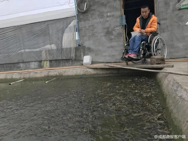 水稻青蛙泥鳅养殖技术_水稻青蛙泥鳅养殖技术_水稻青蛙泥鳅养殖技术