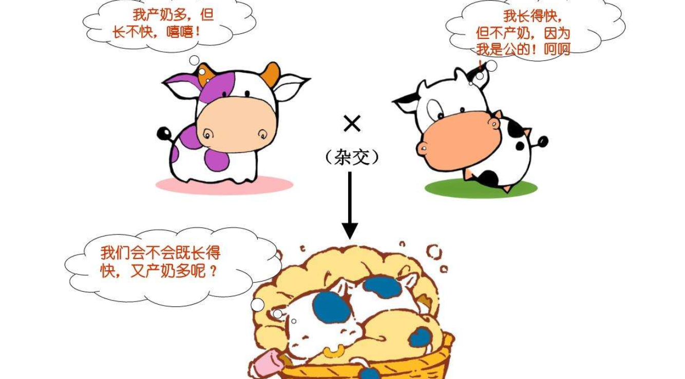 鹅鸭养殖先进技术视频_鸭鹅的先进养殖技术_鹅鸭养殖先进技术有哪些