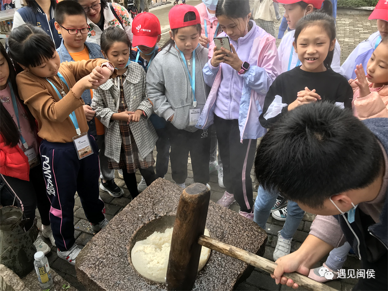 致富经种植山苍子视频_种植山苍子的前景_种植山苍子挣钱吗