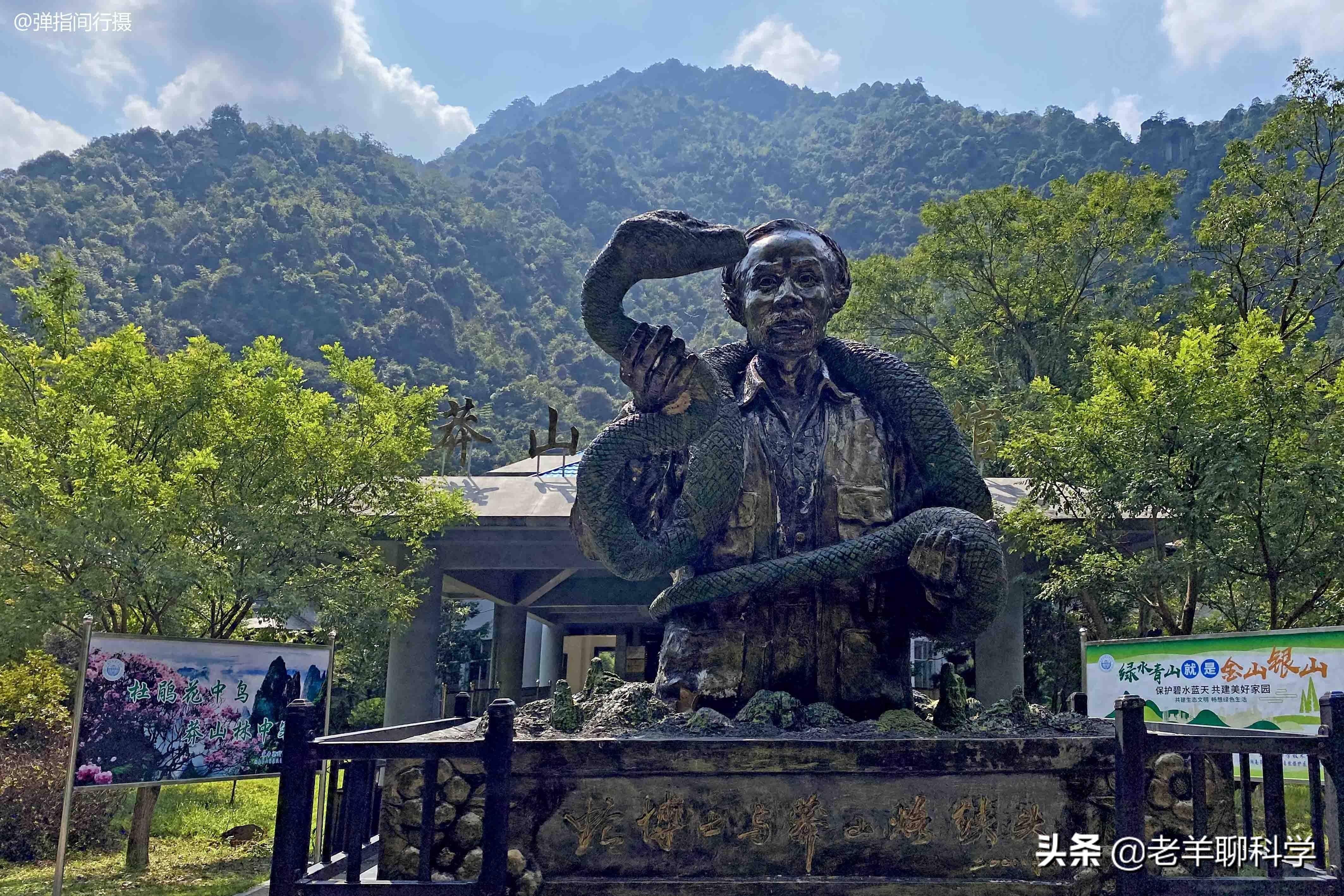 疯狂偷盗上百条！现只剩500条的“小青龙”，为何总被外国人惦记