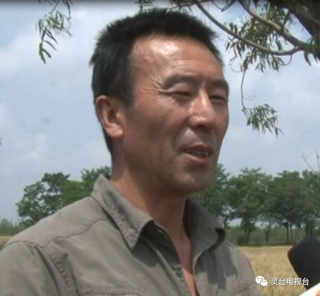 致富种植农民大量收入_农民大量种植致富_农民种地致富