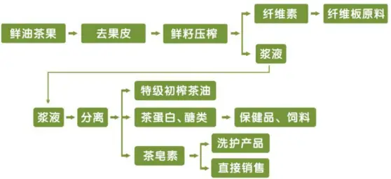 致富种植油茶林怎么样_油茶林种植致富_致富种植油茶林视频