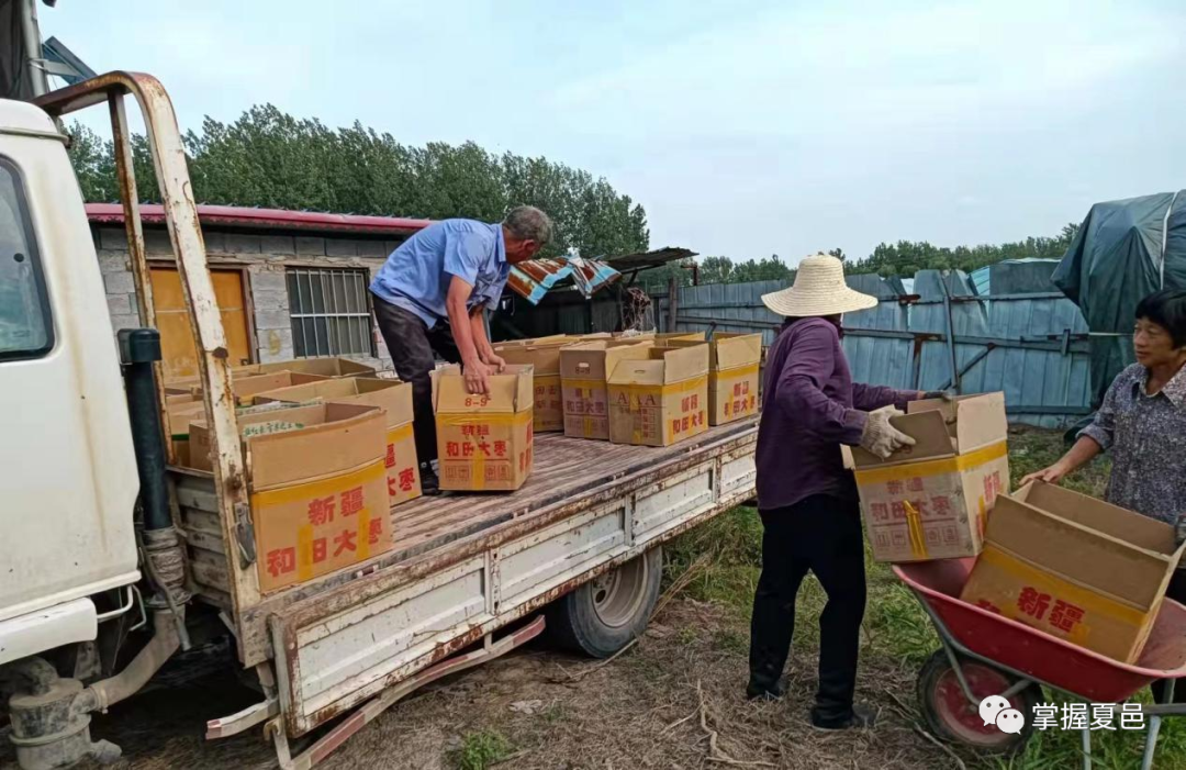 土豆致富经_土豆致富带头人_种植 土豆 增收致富